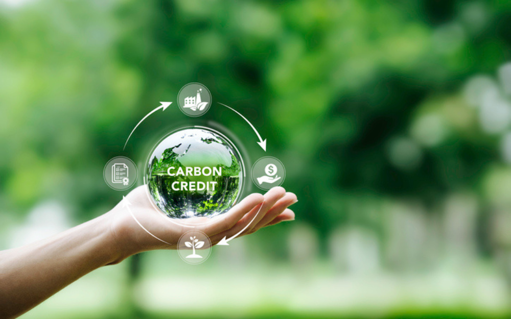 hand holding carbon credits icon