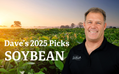 Dave’s Soybean Picks for 2025